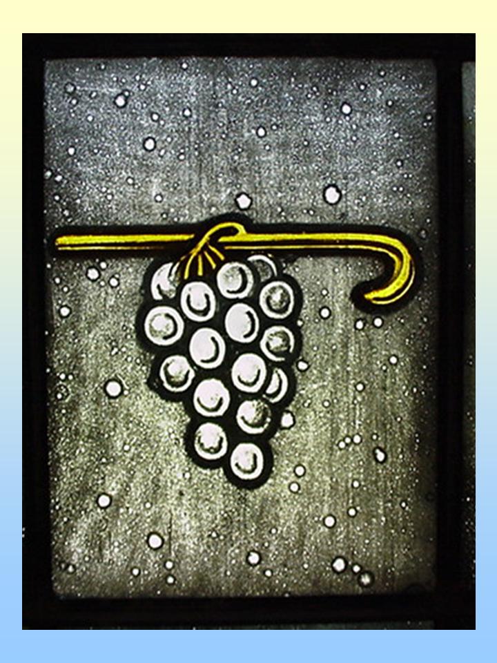 Image of Grapes on a Staff