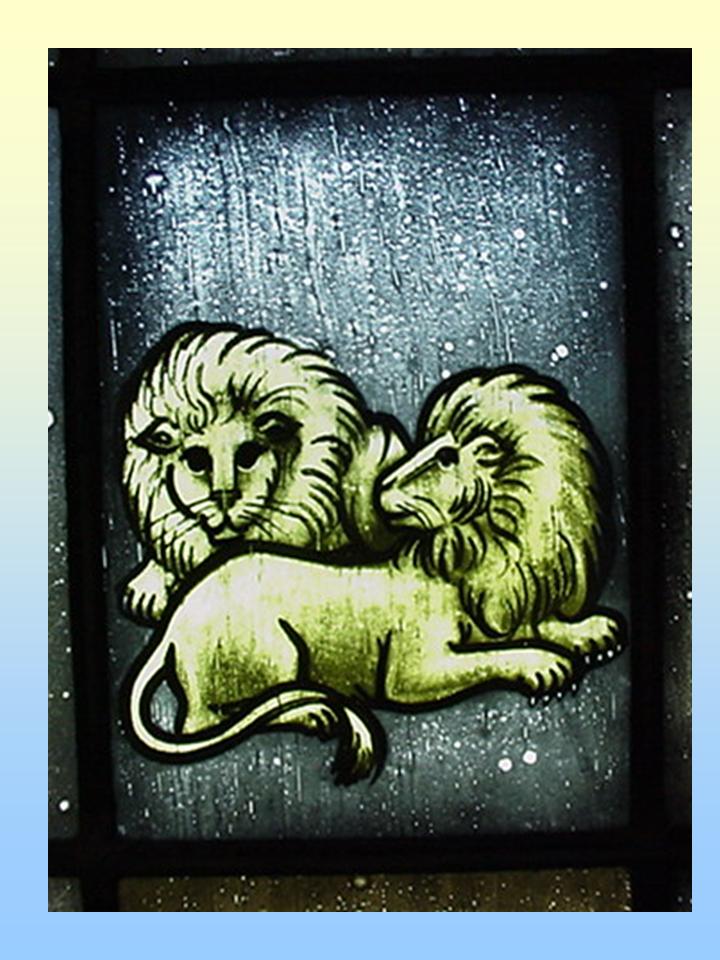Image of 2 lions