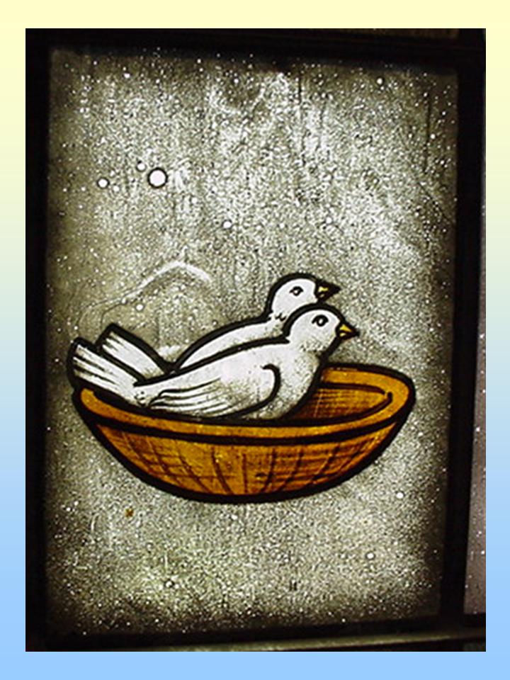 Image of Doves in a Basket