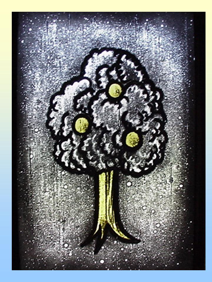 Image of the Tree of Life